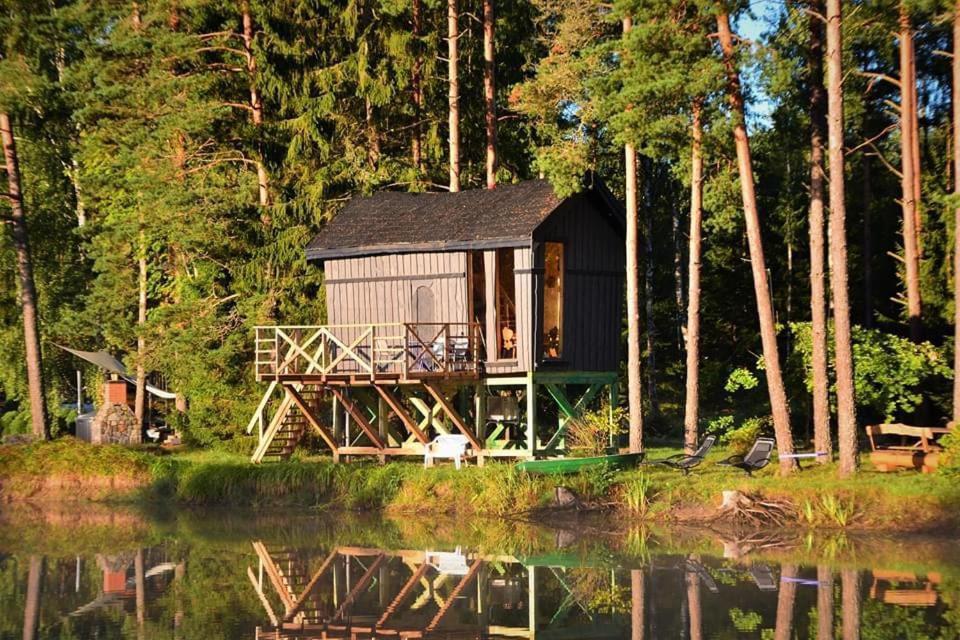 Dragon House In The Tree! Jacuzzi, Sauna ,Cinema,Heated Lici  ภายนอก รูปภาพ