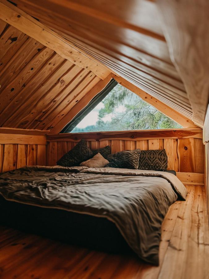 Dragon House In The Tree! Jacuzzi, Sauna ,Cinema,Heated Lici  ภายนอก รูปภาพ